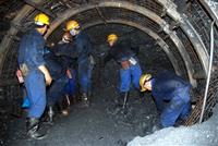  Các bệnh nghề nghiệp thường gặp trong khai thác mỏ